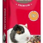 Cavia