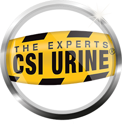 CSI Urine