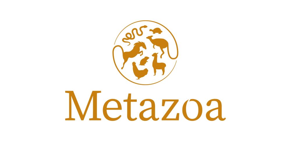 Metazoa