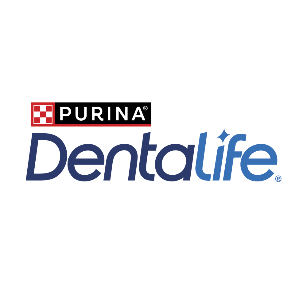 Dentalife