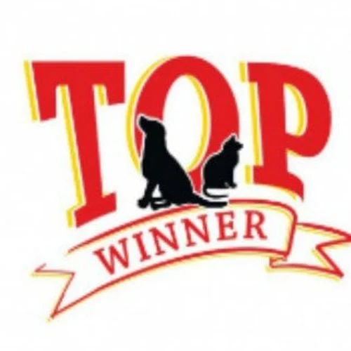 TopWinner